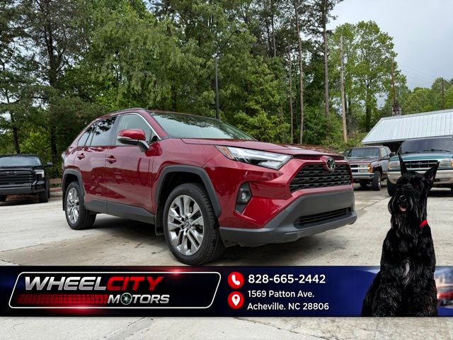 2023 Toyota RAV4 XLE Premium for sale by dealer