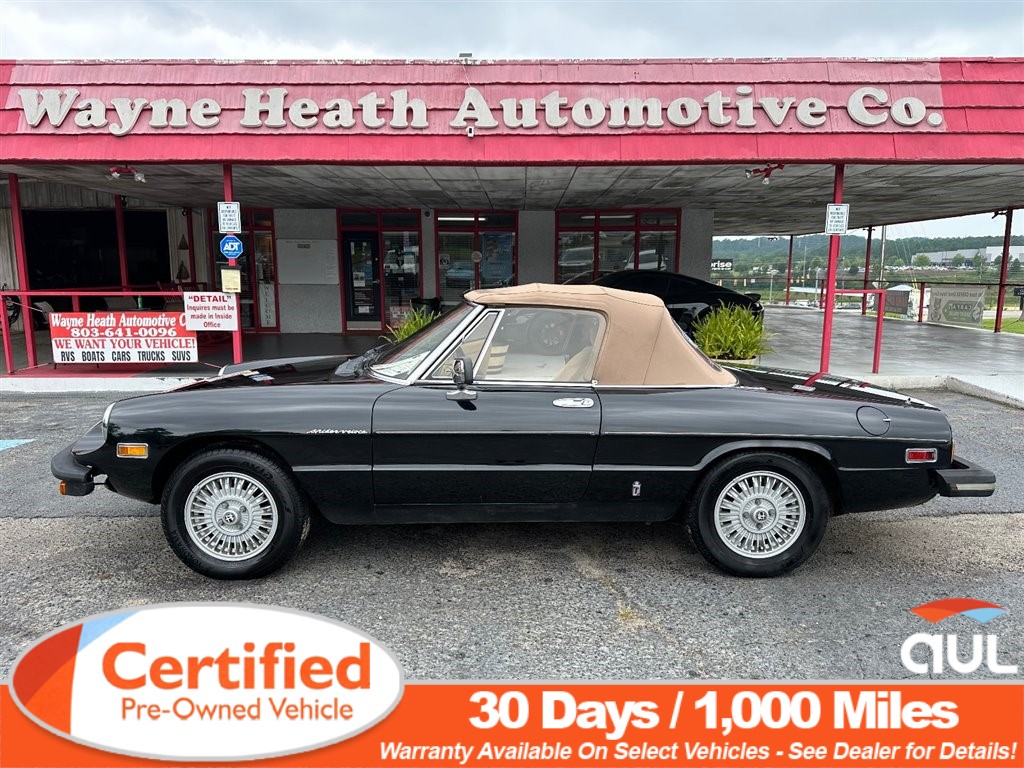 1981 Alfa Romeo Spider Veloce Convertible for sale by dealer