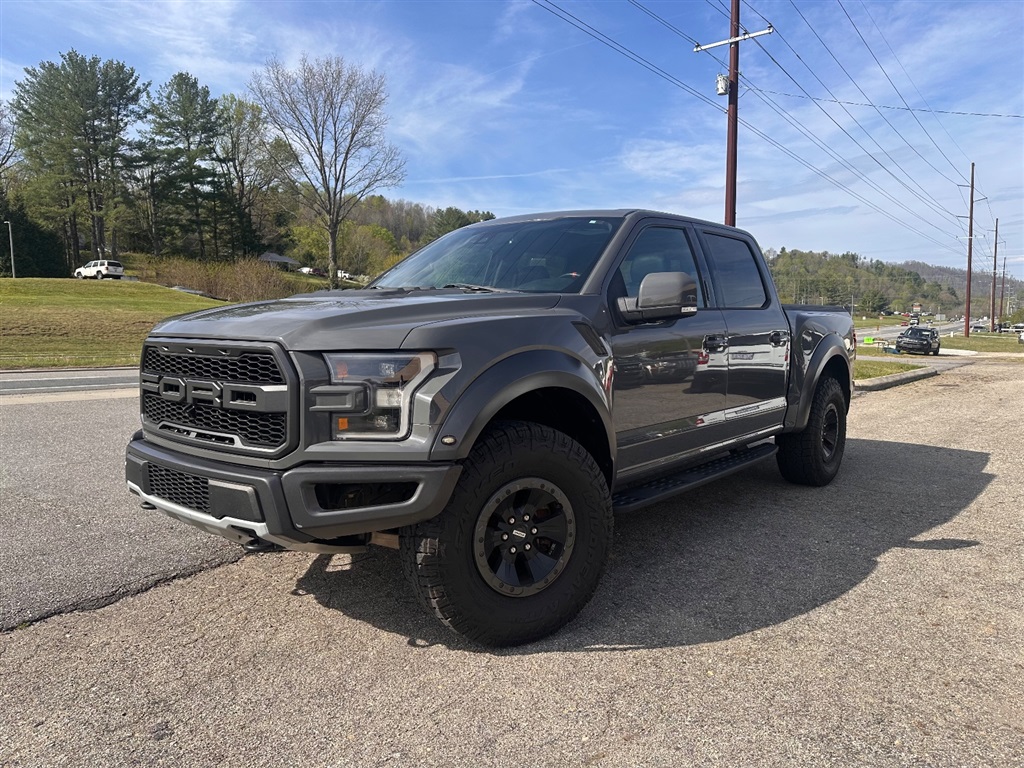 2018 Ford F-150 Raptor for sale by dealer