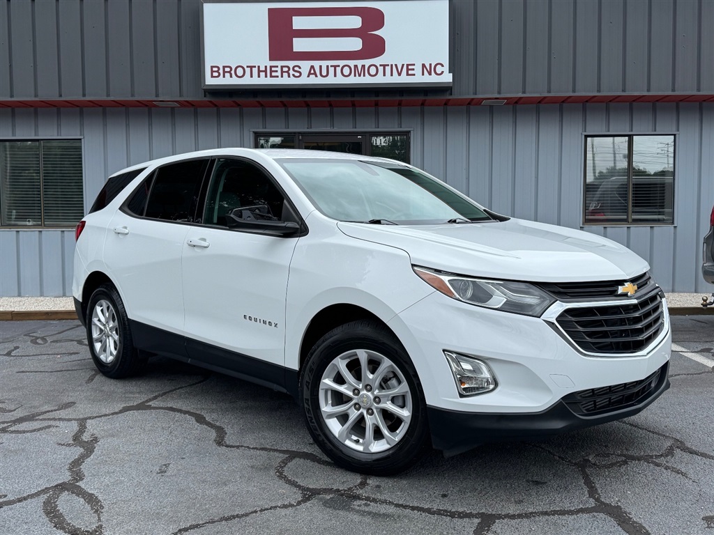 2019 Chevrolet Equinox LS for sale by dealer