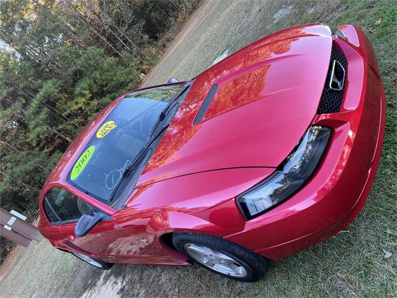 2002 Ford Mustang Standard Coupe for sale by dealer