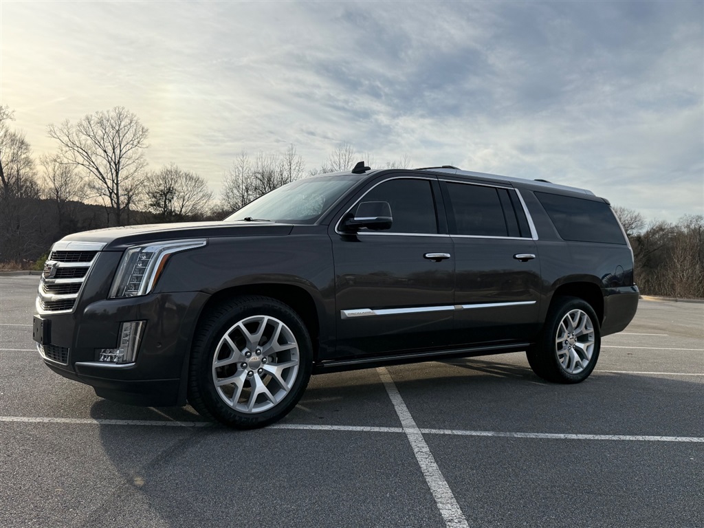 2017 Cadillac Escalade ESV Premium 4WD for sale by dealer