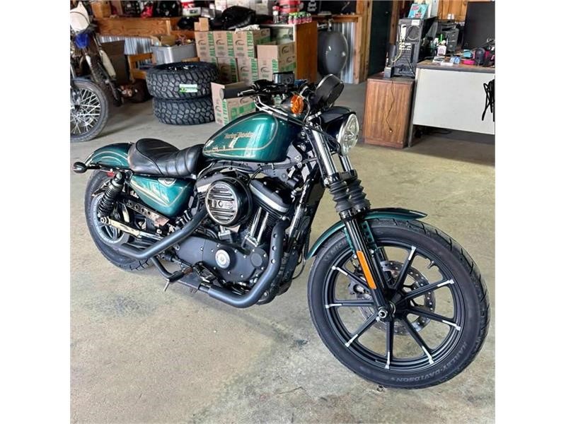 2019 Harley-Davidson XL883N - for sale by dealer