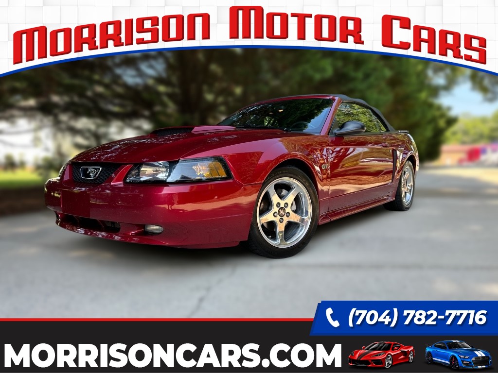 2003 Ford Mustang GT Premium for sale by dealer