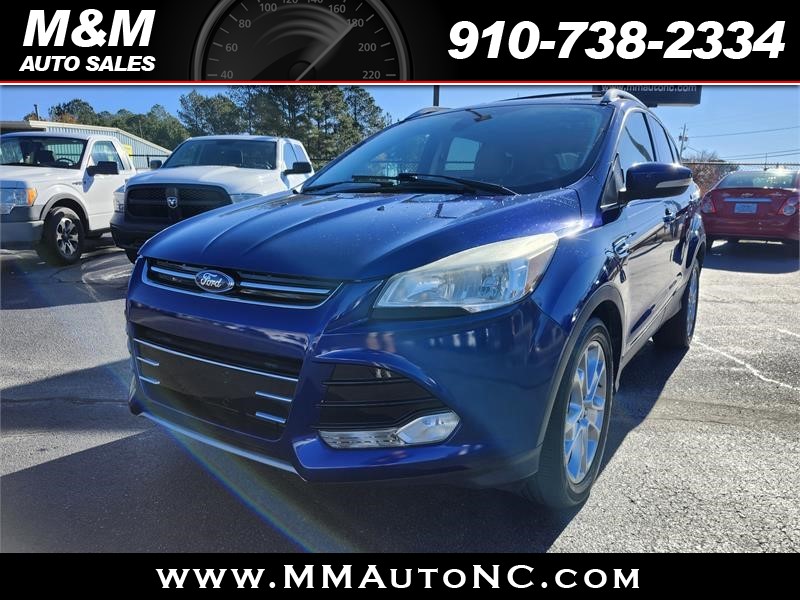 2014 FORD ESCAPE TITANIUM for sale by dealer