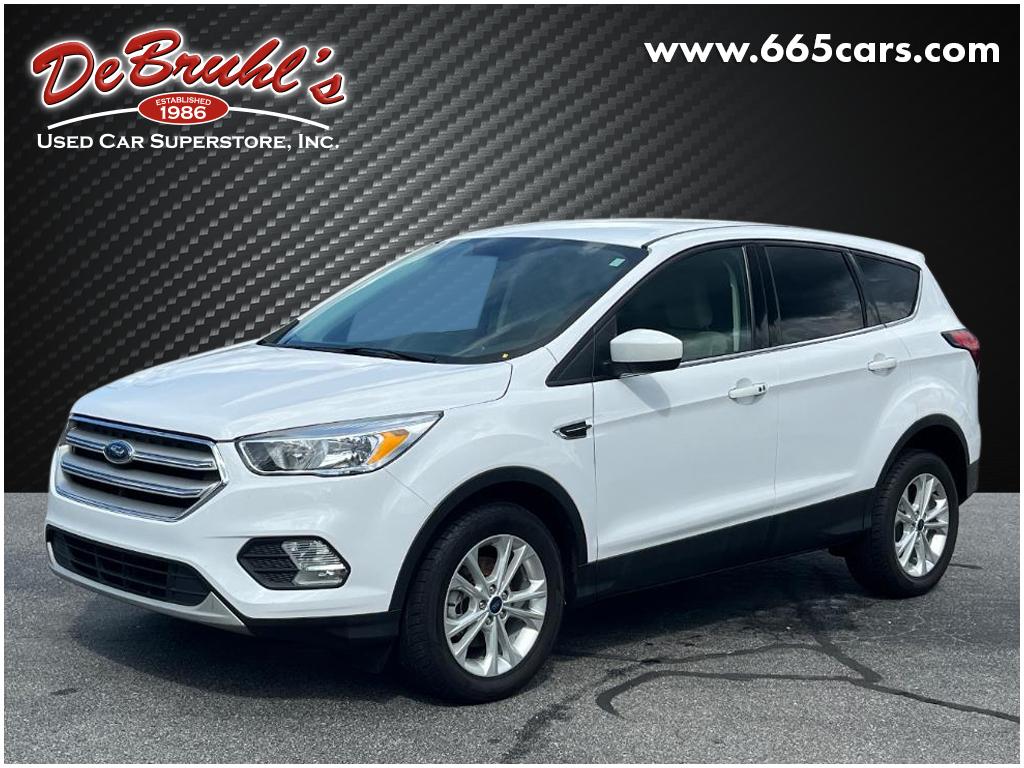 2019 Ford Escape SE for sale by dealer