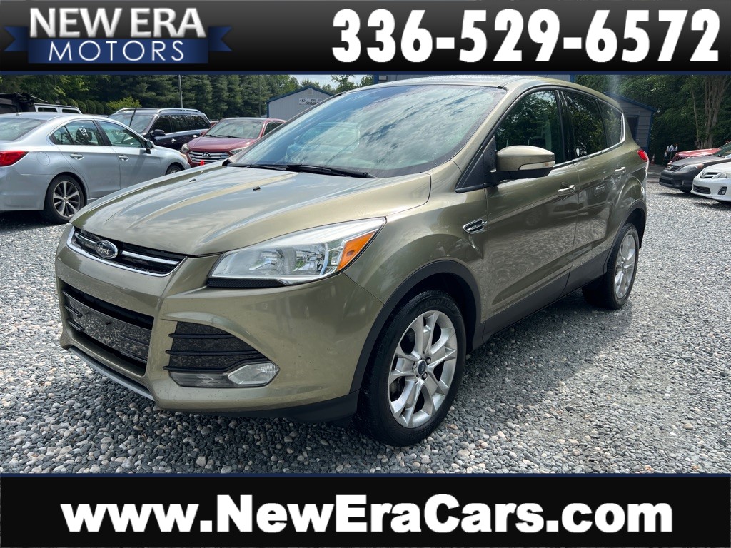 2013 FORD ESCAPE SEL 4WD for sale by dealer
