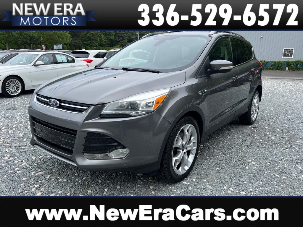 2014 FORD ESCAPE TITANIUM for sale by dealer