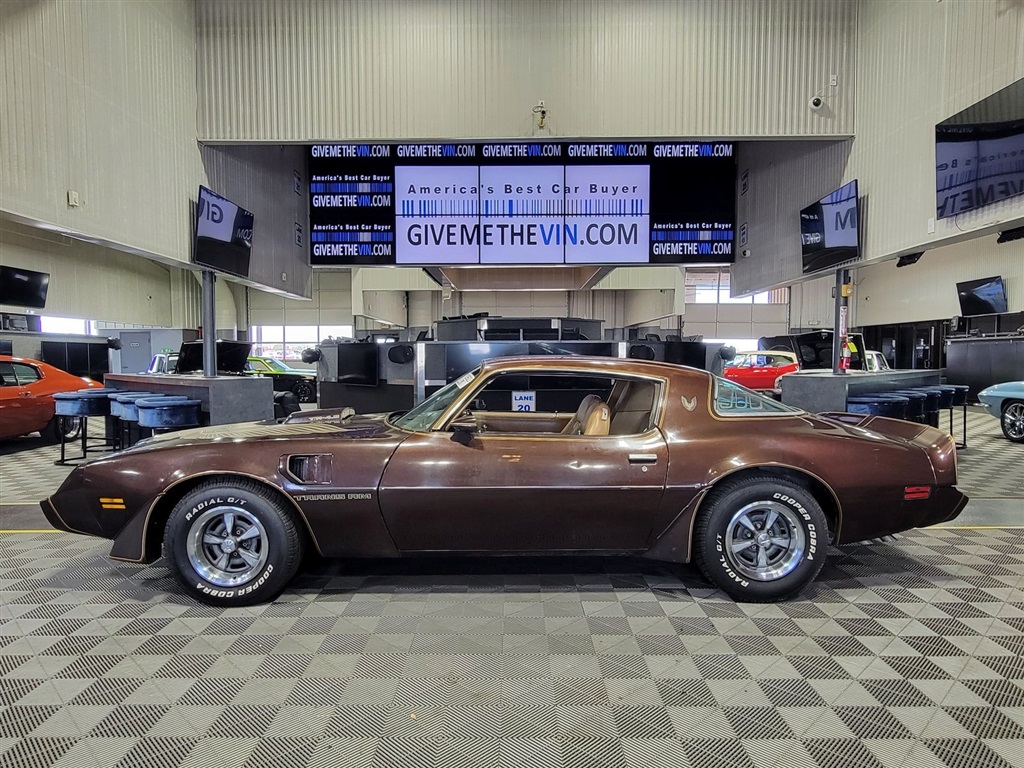 1981 Pontiac Firebird Trans Am for sale by dealer